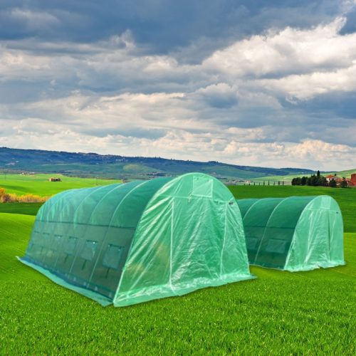 Solariile CORTIS – Reduceri de sezon la MESTERESTI
